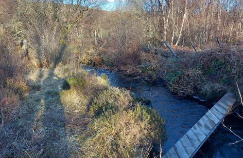 The Woodshed - Foto 7