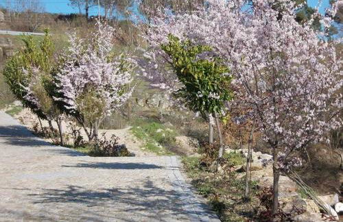 MyStay - Quinta do Tendeiro - Foto 24