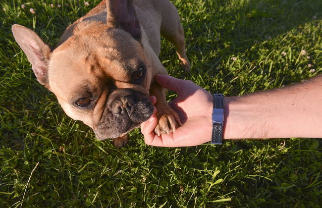 Apartments Vinska Trta - Photo 40