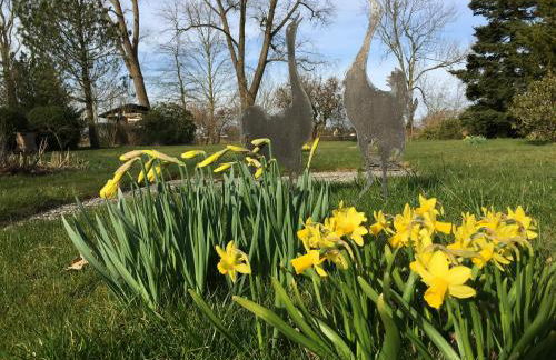 Ferienhaus Scholien - Foto 49