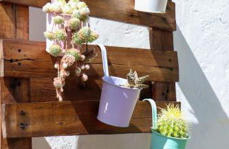 El Patio de los Naranjos - Photo 30