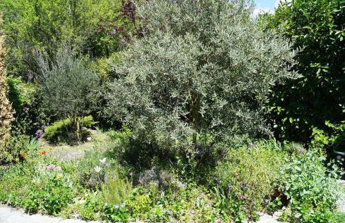 Lou pichoun studio au coeur d'un village provençal - Foto 26