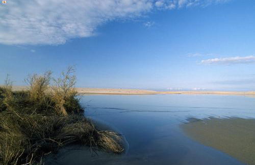 Casa Vacanze residence Cavour - Foto 58