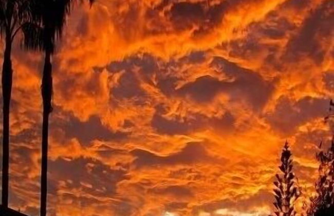 Merimbula Beach Apartments - Photo 10