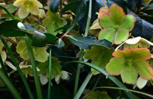 Maison à la campagne avec jardin clos - Animaux acceptés - FR-1-489-172 - Foto 10