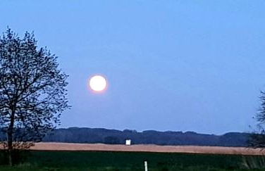 Ferienwohnung Thees - Foto 17