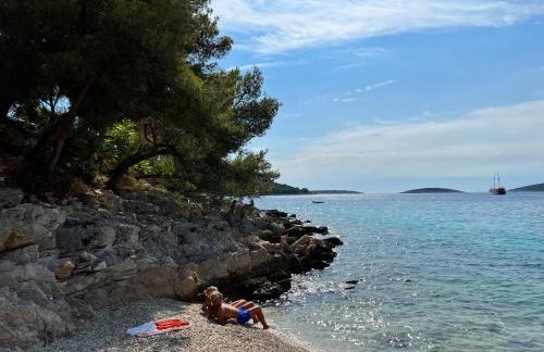 Luxury Beachfront Villa Carlisa - Photo 14