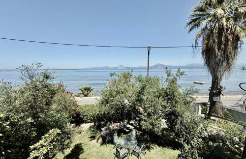 Sunset Oasis - Foto 18