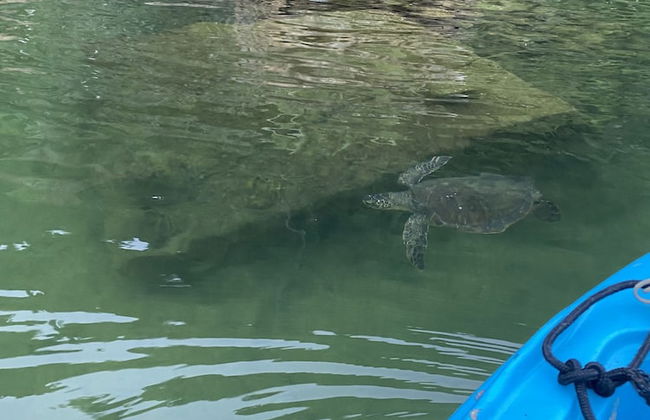 Desfrute dessa maravilha. - Foto 24