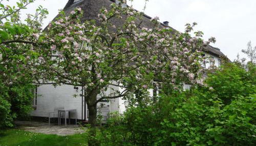 Luckow Georg Asmussen Haus - Foto 4, Garden view