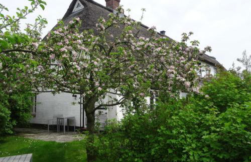 Luckow Georg Asmussen Haus - Foto 4