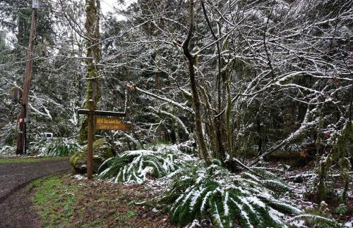 Secluded Forest Cabin in Rhododendron near Mt Hood Village in Oregon - Foto 13