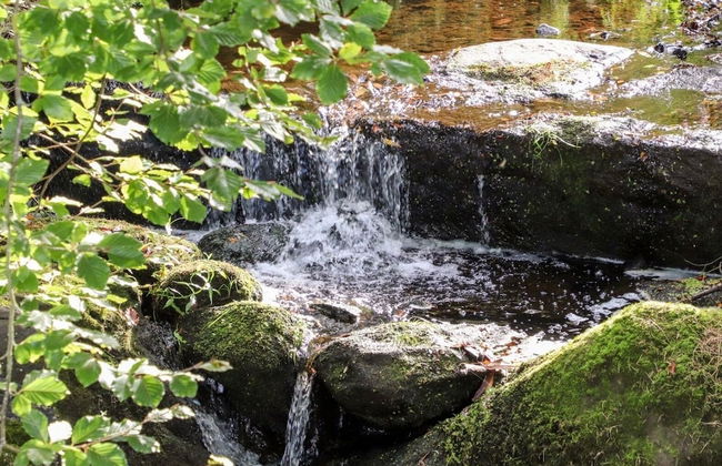 Crib Goch Cozy Dog-friendly Cabin Retreat - Photo 17