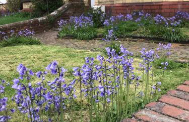 Sparkling Space - Twin or King Beds - Photo 13