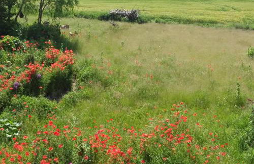 Haus Rosengarten- Ruhige Ferienwohnungen im Grünen - Foto 26