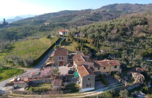 Antica Tinaia - Foto 19