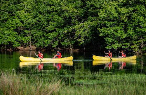 Margarita's House - Photo 47