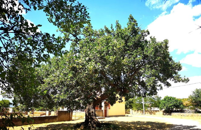 Holiday Home Jaga - Foto 24