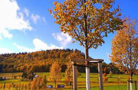 Großzügige Fewo Peter in Bärenstein - Foto 21