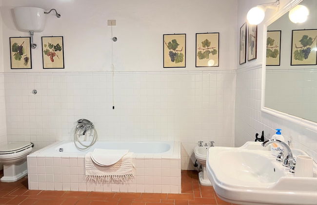 Fattoria Lornano Winery - Foto 71