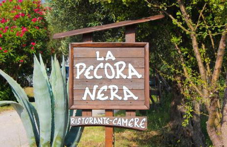 country house pecora nera - Foto 3