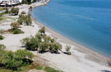 MariRena plaz - Foto 17