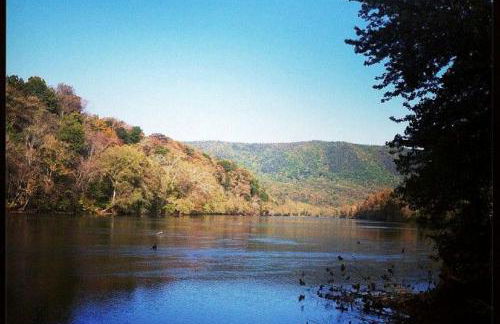 Cozy Riverside Cabin with Private Hot Tub in Rileyville, Virginia - Photo 20