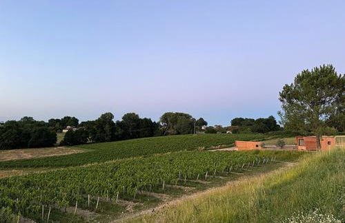 Vineyard Cabins at Château Puynard - Foto 6