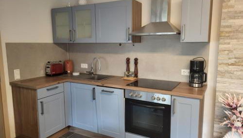 Ferienhaus Neunkirchen-Daun - Foto 4, stove, dishwasher, toaster