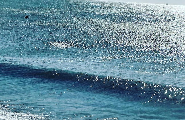 Areia Beach - Pozos Colorados - Santa Marta - Colombia - Foto 37