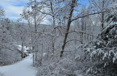 Perfect Vermont Battenkill Log Cabin - Photo 36