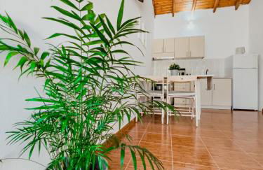 Live in Lemnos Studios - Photo 15