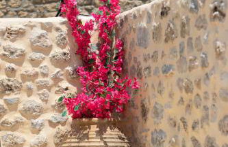 Villa Fragkaki - Foto 18