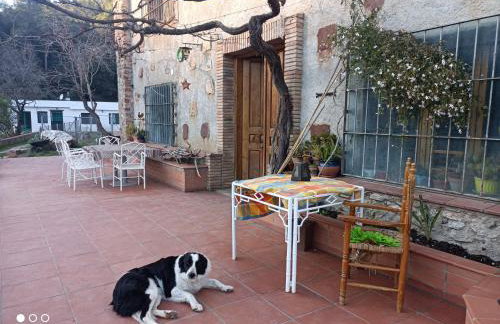 MASIA CAN SUNYER AGROTURISMO - Foto 73