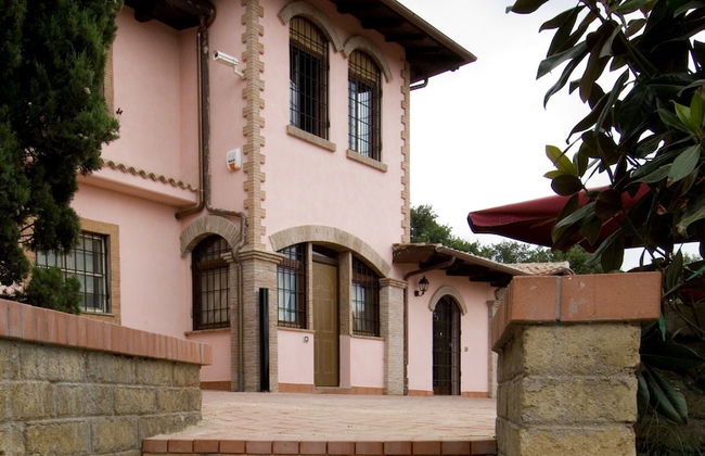 Azienda Agricola Sinisi - Foto 22