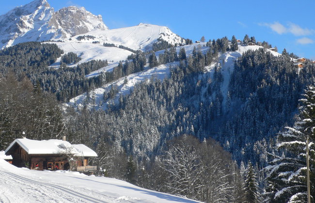 Sapin Bleu 6 - Foto 17