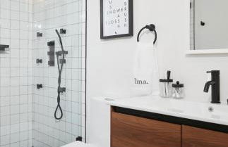 Chateau Lodge - Ski Shandaken, Hunter, Catskills, Windham, Belleayre - Foto 4