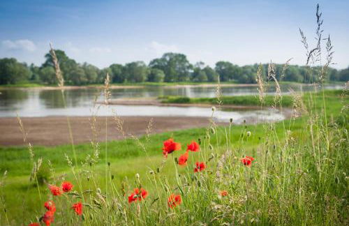 Elbwiesenhaus mit schönen Garten - Foto 48