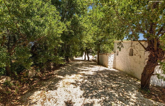 2410 Tenuta dei Fragni by Perle di Puglia - Foto 57