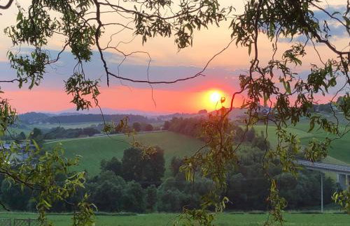 Ferienwohnung Mintbraun - Foto 51