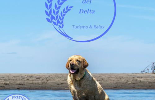 LA PAU DEL DELTA - Foto 33