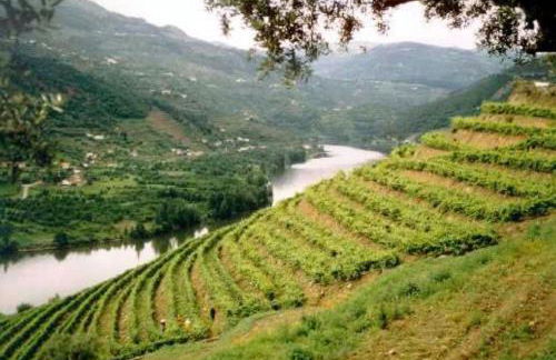 Douro House Loft - Foto 29