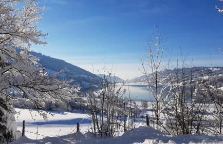 Ferienwohnung Fanny am See - Photo 17