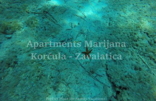 Apartments Marijana - Foto 58