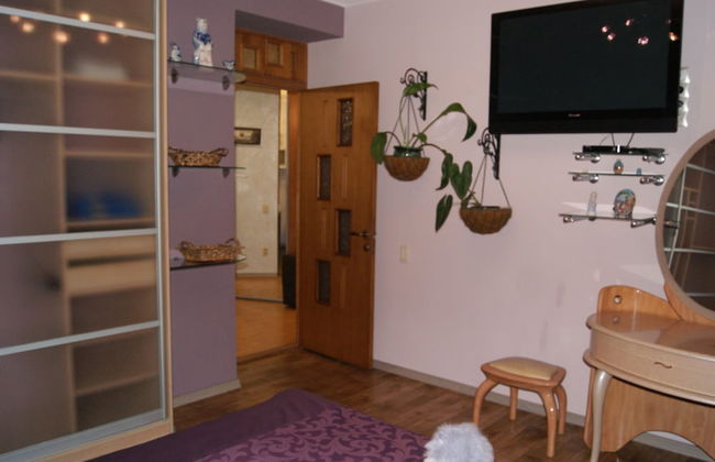 Apartment on Radischeva 23 apt 20 - Photo 12