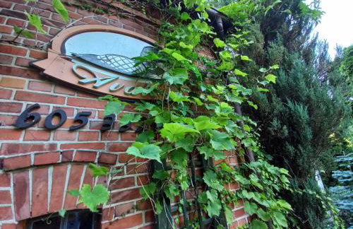 Avalon Połchowo - Foto 4