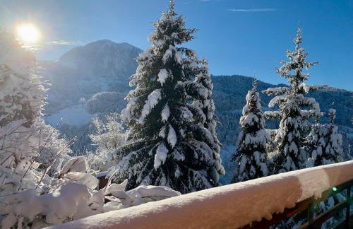 Logement 3 étoiles avec vue imprenable sur les montagnes, ski bus - Photo 26