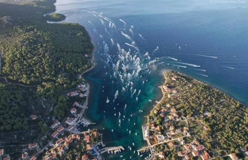 Apartments Marvi Ugljan - Foto 16