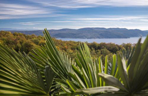 Apartman Fonovici - Foto 9