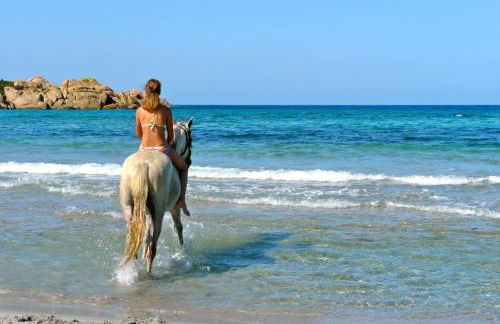 Demeure traditionnelle en pierre avec piscine - Foto 29
